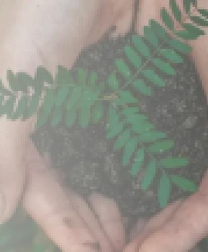 Sustainability